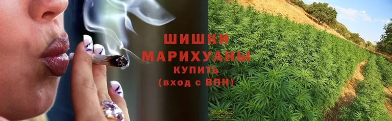 Бошки Шишки SATIVA & INDICA  darknet официальный сайт  Кольчугино  кракен ONION 